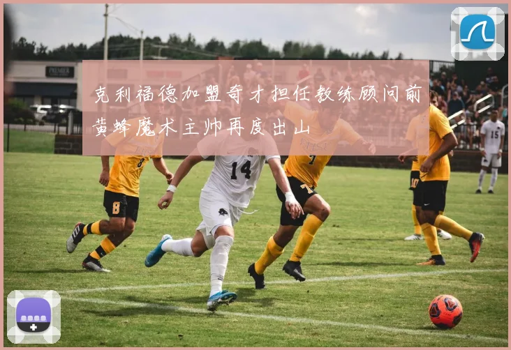 克利福德加盟奇才担任教练顾问前黄蜂魔术主帅再度出山